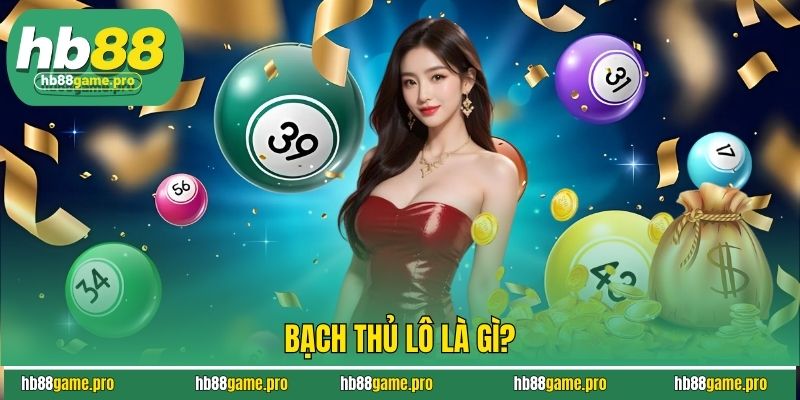 Bạch thủ lô là gì?
