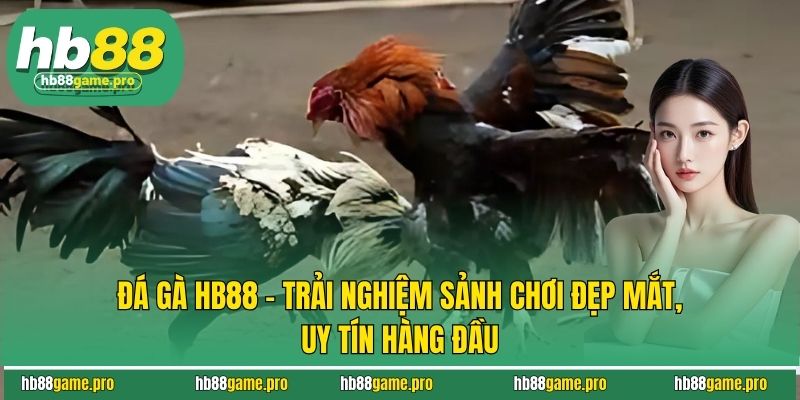 Kinh nghiệm chơi đá gà HB88 từ các cao thủ