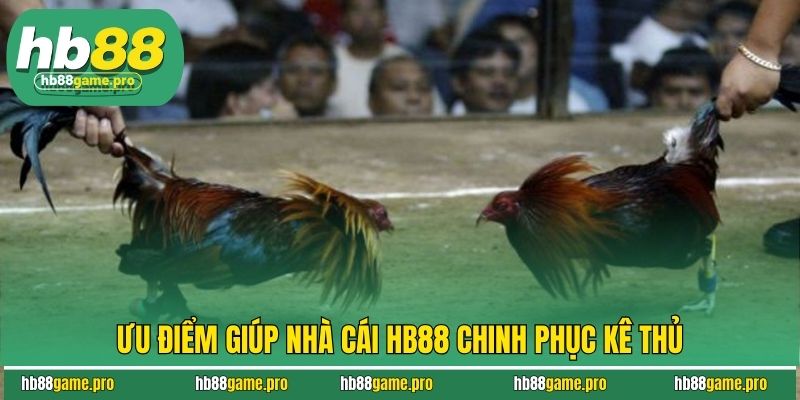 Ưu điểm giúp nhà cái HB88 chinh phục kê thủ
